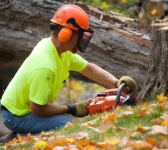 tree services Wood River